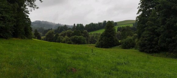  قطعة أرض في Freyung-Grafenau, Germany رقم 243746 5