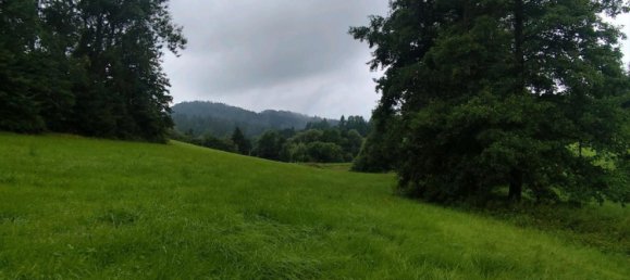  قطعة أرض في Freyung-Grafenau, Germany رقم 243746 4