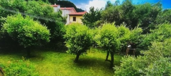 6-Zimmer Wohnung in Massa, Italy, Nr. 51511 14