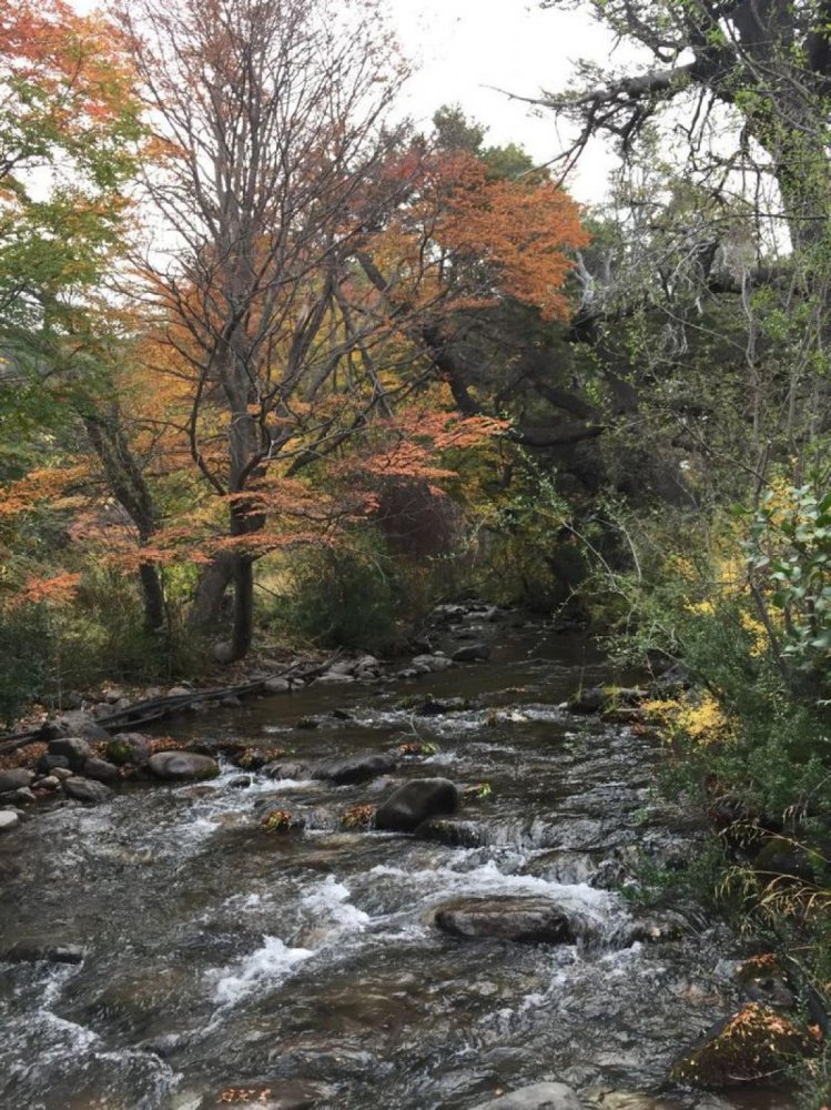 Terreno em Neuquen, Argentina N.º 38382