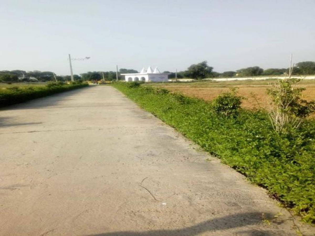  Land in Noida, India No. 66120