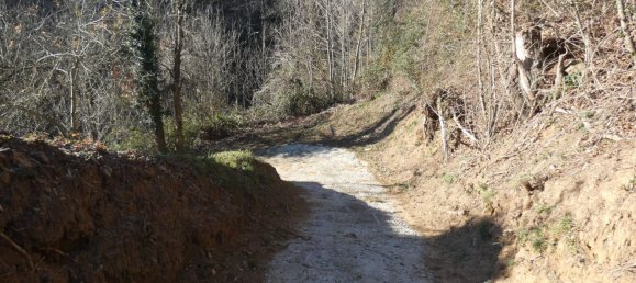 7 rooms House in Altare, Italy No. 133671 44