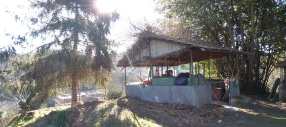 7 rooms House in Altare, Italy No. 133671 5