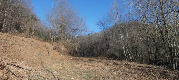 7 rooms House in Altare, Italy No. 133671 25