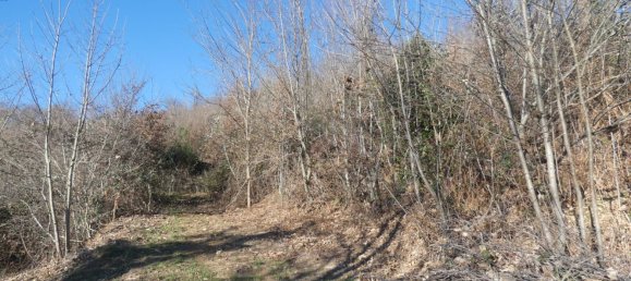 7 rooms House in Altare, Italy No. 133671 21