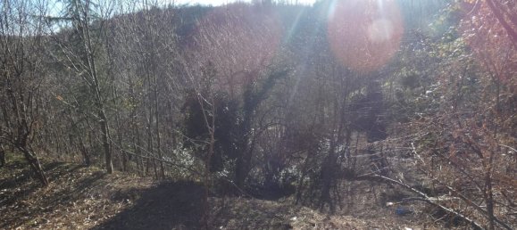 7 rooms House in Altare, Italy No. 133671 26