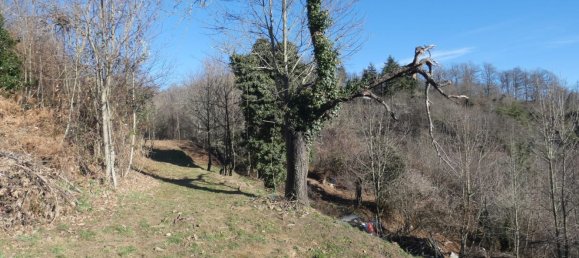 7 rooms House in Altare, Italy No. 133671 20