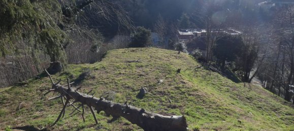 7 rooms House in Altare, Italy No. 133671 37