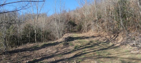 7 rooms House in Altare, Italy No. 133671 42