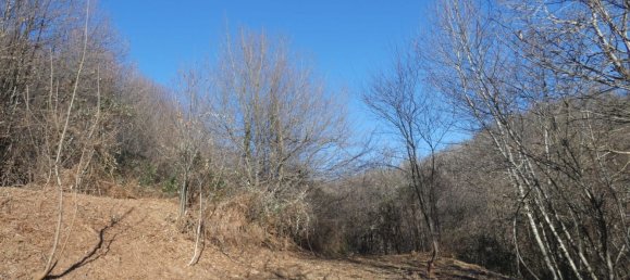 7 rooms House in Altare, Italy No. 133671 29