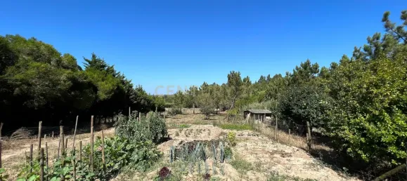 3 bedrooms Villa in Caldas da Rainha, Portugal No. 146597 35