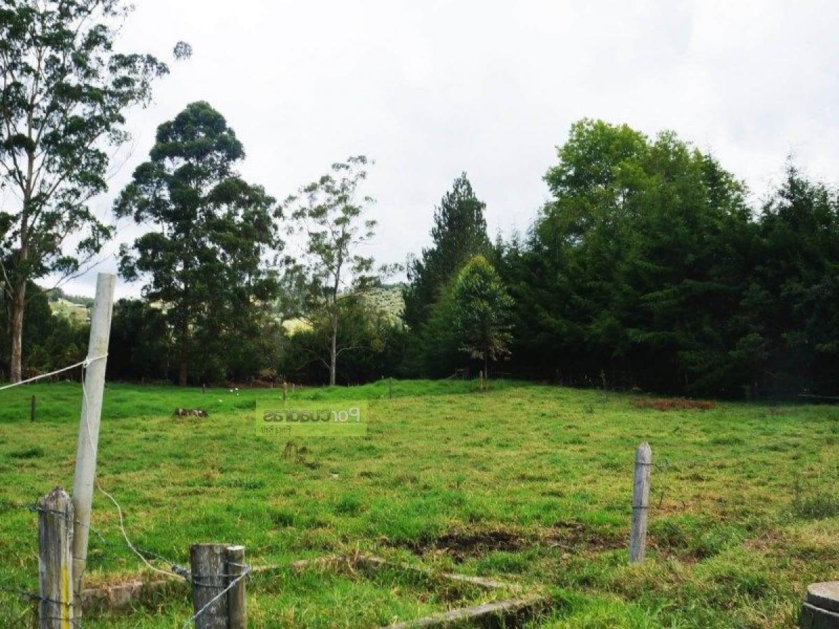  Land in Antioquia, Colombia No. 440