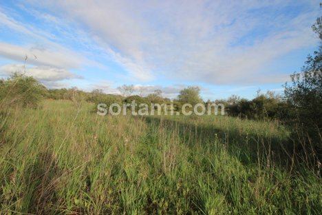 24080m² Land in Sao Bartolomeu de Messines, Portugal No. 82011