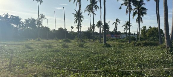 Terrain à Surat Thani, Thailand No. 61630 6