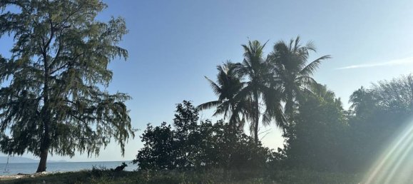 Terrain à Surat Thani, Thailand No. 61630 4