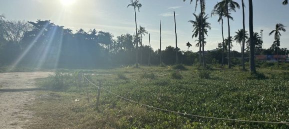 Terrain à Surat Thani, Thailand No. 61630 5