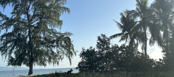 Terrain à Surat Thani, Thailand No. 61630 2