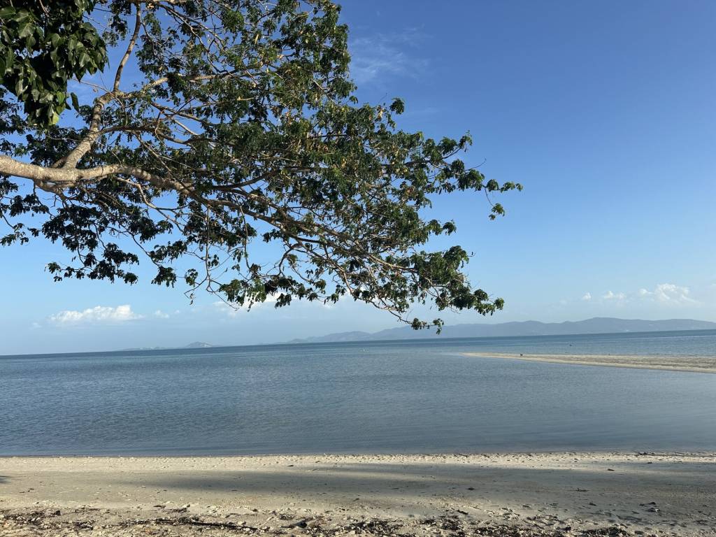 Terrain à Surat Thani, Thailand No. 61630