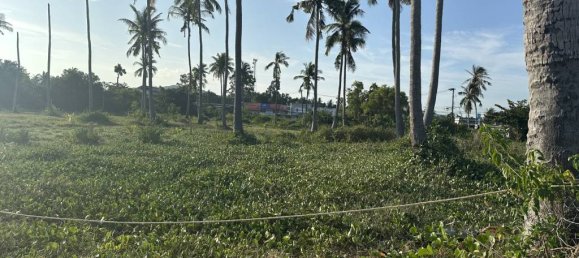 Terrain à Surat Thani, Thailand No. 61630 10