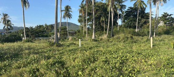 Terrain à Surat Thani, Thailand No. 61630 9