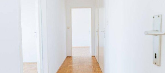 4-salle Duplex à Eggenberg, Austria No. 238342 11