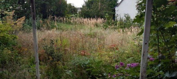 Casa T1 em Demmin, Germany N.º 360703 14