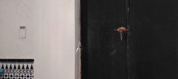 Gewerbliche Immobilie in La Barrosa, Spain 126m², Nr. 143512 2