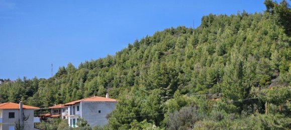 Таунхаус 210м² в Халкидики, Греция № 3204 9