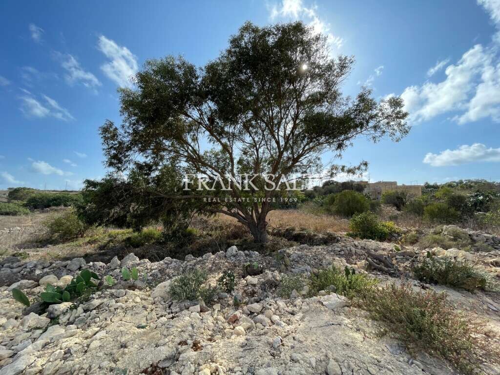 5 غرف نوم مزرعة في Rabat, Malta رقم 6415