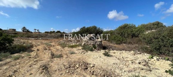 5 غرف نوم مزرعة في Rabat, Malta رقم 6415 3