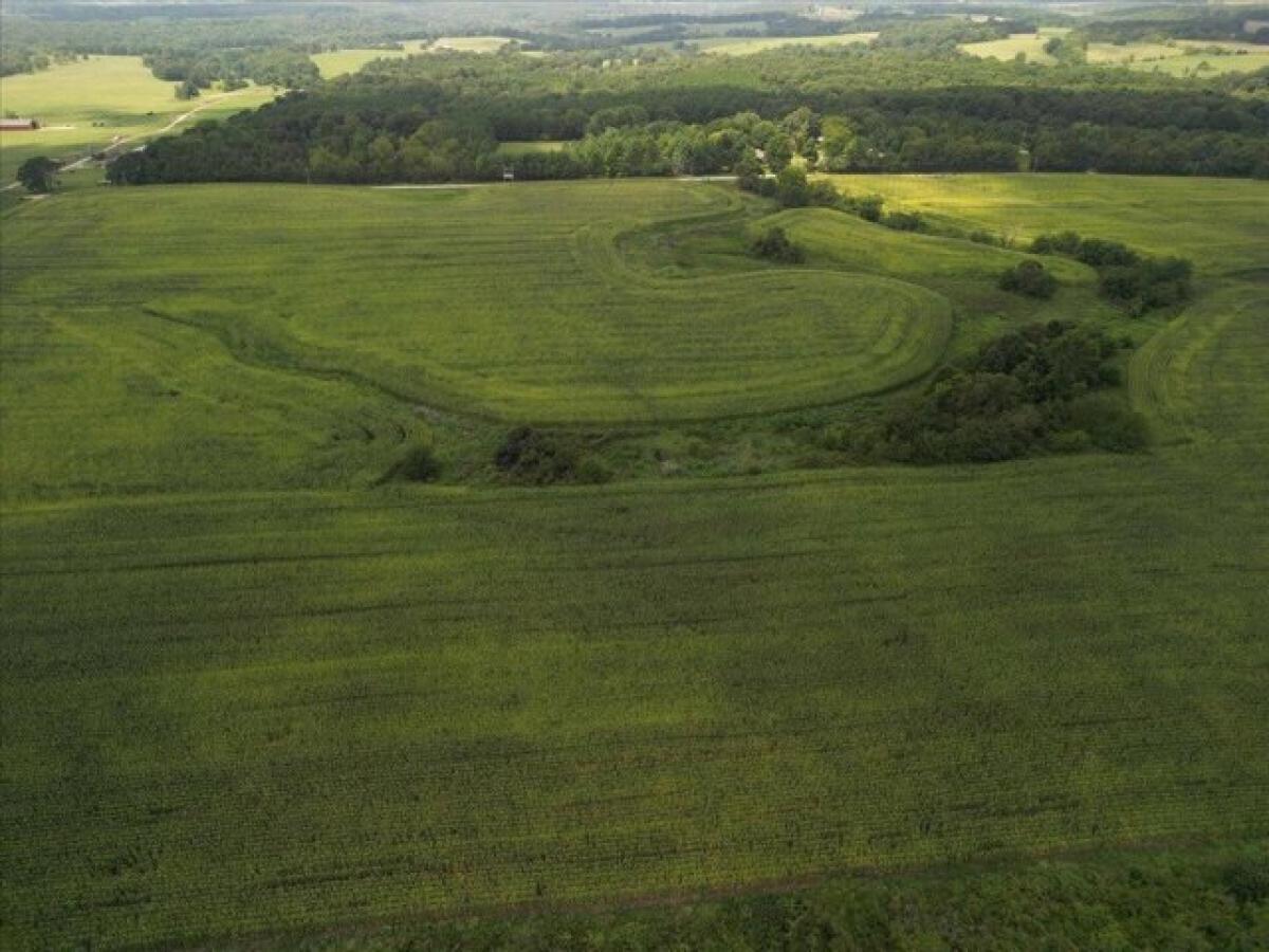  Land in Mountain Grove, USA No. 477049