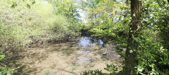 2 bedrooms House in Le Charme, France No. 87580 18