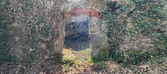 2 chambres Maison à Arcos de Valdevez, Portugal No. 169417 10