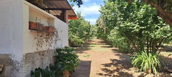 Terrain à Vignanello, Italy 8080m² No. 296719 4