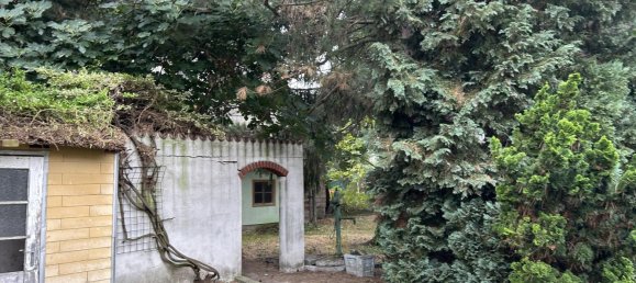 Terrain à Langenzersdorf, Austria 1079m² No. 253750 6