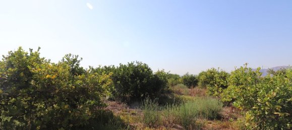 2 bedrooms House in Albatera, Spain No. 185157 17