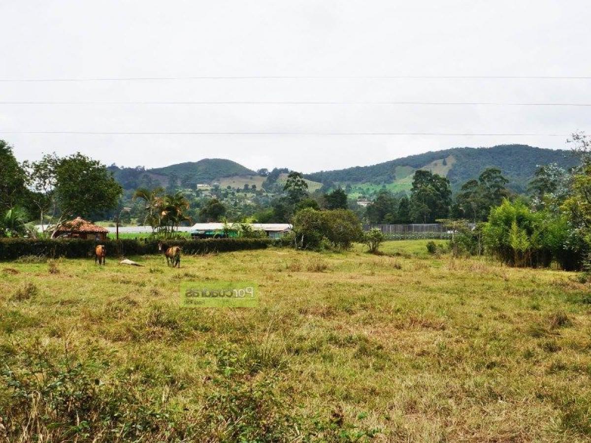  Land in Antioquia, Colombia No. 478