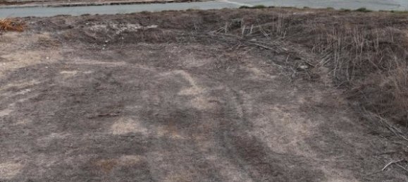 Grundstück in Dali, Cyprus 745m², Nr. 26350 8