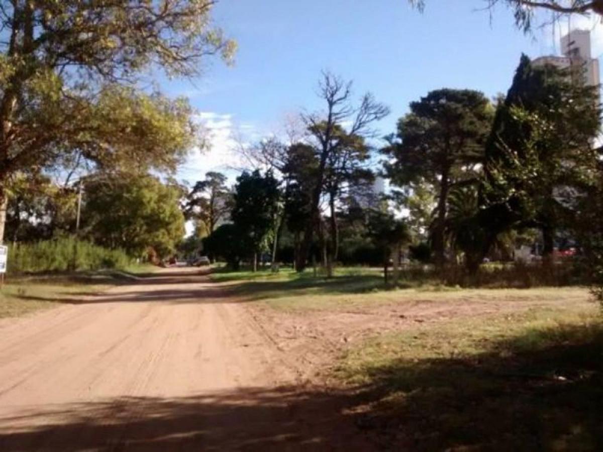 2 chambres Appartement à Mar del Plata, Argentina No. 78855