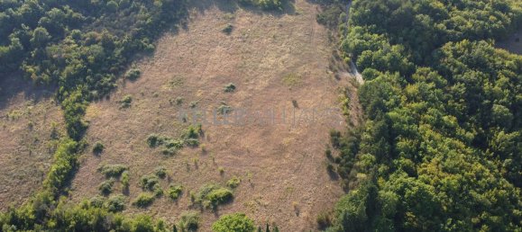 Land in Città di Castello, Italy No. 379083 3