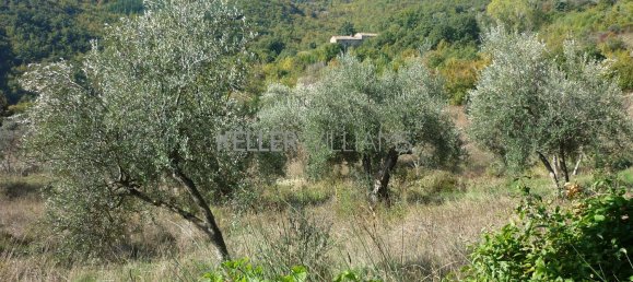 Land in Città di Castello, Italy No. 379083 14