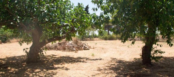 5-salle Villa à Martina Franca, Italy No. 143897 35