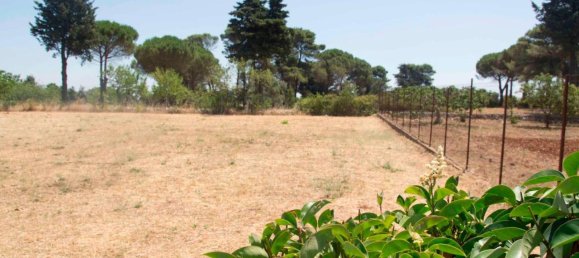 5-salle Villa à Martina Franca, Italy No. 143897 50