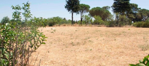 5-salle Villa à Martina Franca, Italy No. 143897 49