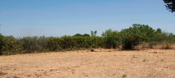 5-salle Villa à Martina Franca, Italy No. 143897 38