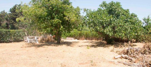 5-salle Villa à Martina Franca, Italy No. 143897 37