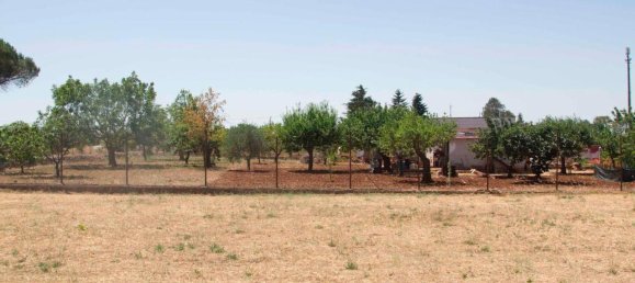 5-salle Villa à Martina Franca, Italy No. 143897 40