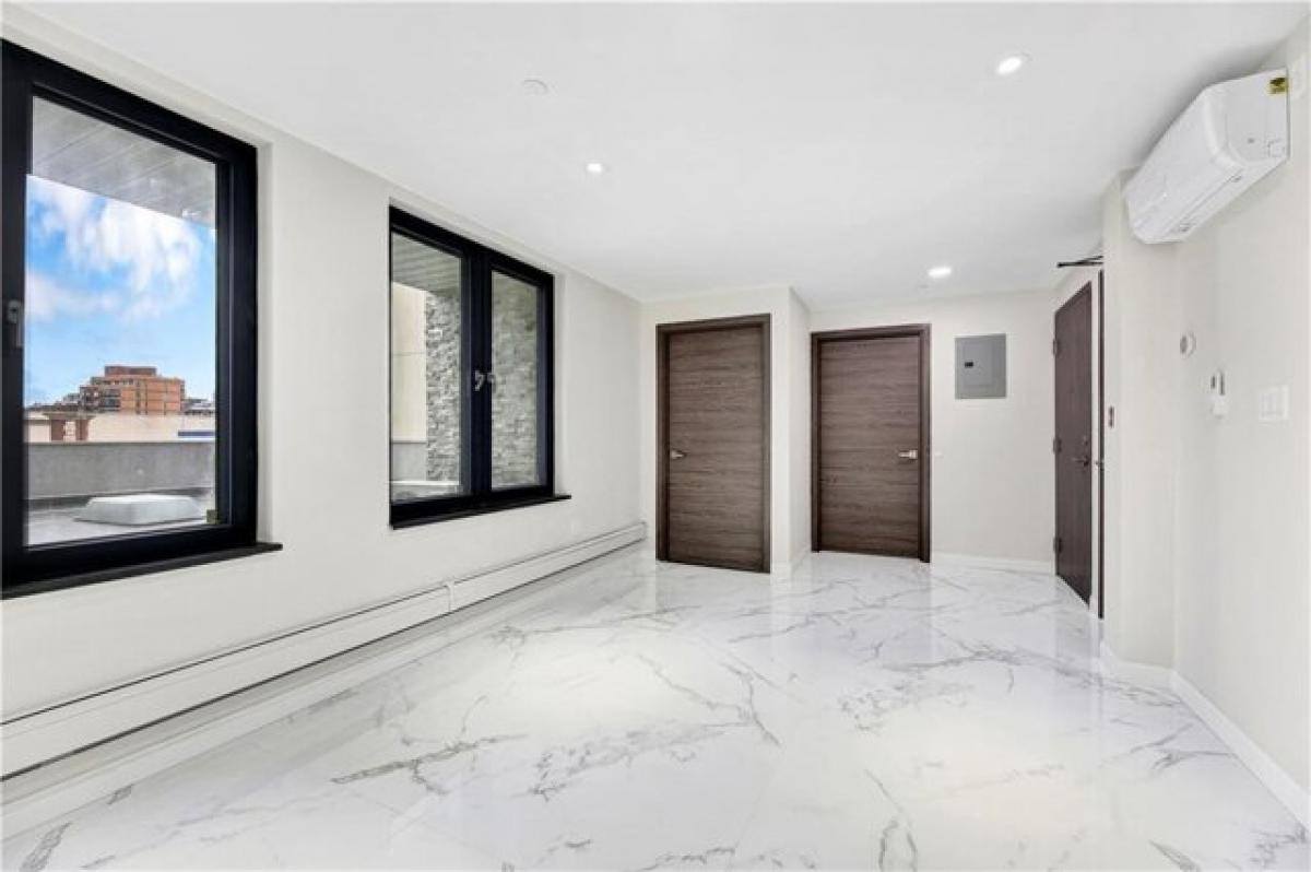 Estudio en Brooklyn, USA No. 305808