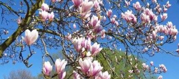 4-salle Villa à Leipzig, Germany No. 327222 7