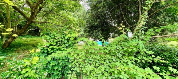 5 rooms House in Pietrasanta, Italy No. 299871 20